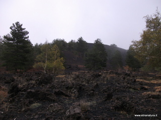 nti Sartorius-01-11-2012 12-19-12